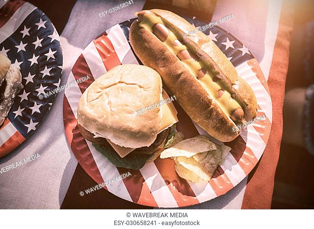 American lunch with hot dog and burger
