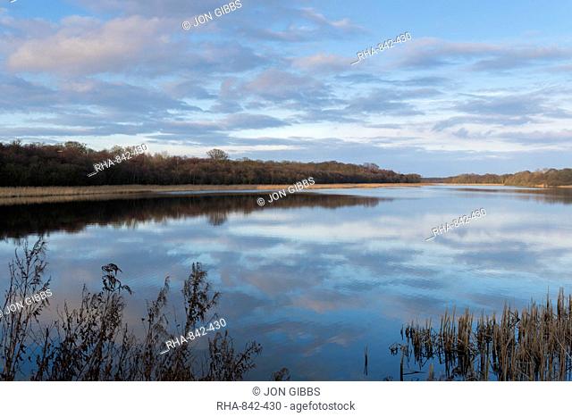 A view of Ormesby Broad in the Norfolk Broads, Norfolk, England, United Kingdom, Europe