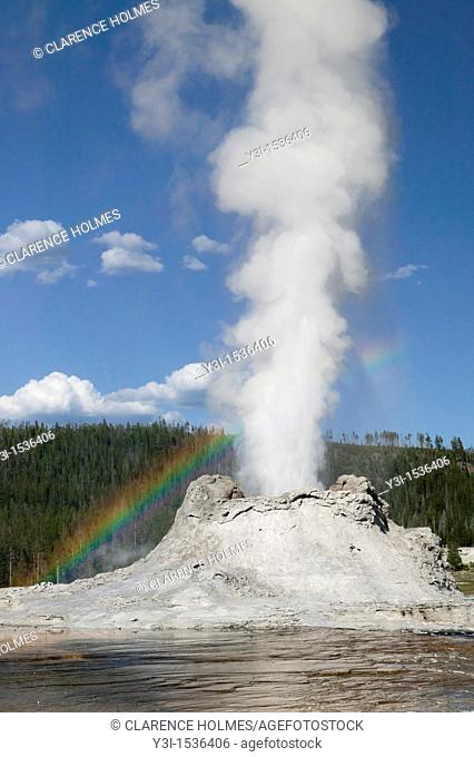 Castle Geyser erupting with a rainbow in its mist in Yellowstone National Park, Wyoming, USA