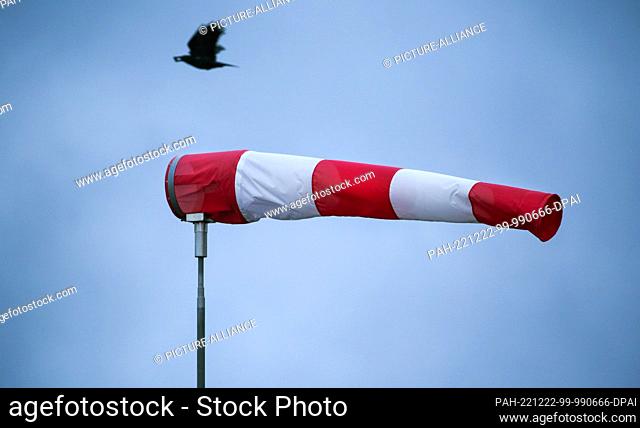 22 December 2022, Baden-Wuerttemberg, Riedlingen: A windsock stands in the strong wind while a crow flies in the background
