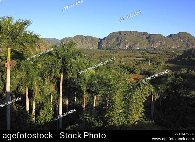 Cuba, Vinales Valley, Valle de Vinales, mogotes, limestone cliffs, palm trees,