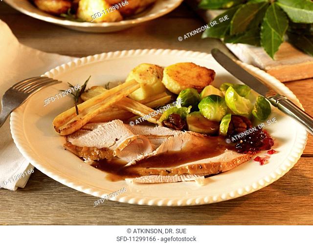 Christmas dinner with sliced turkey, vegetables and cranberries