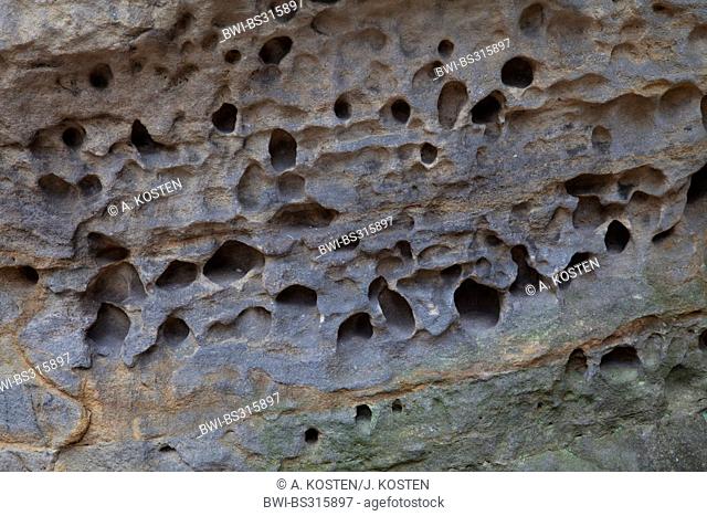 weathering sandstone, Bielatal, Germany, Saxony, Elbsandsteingebirge, Saxon Switzerland National Park