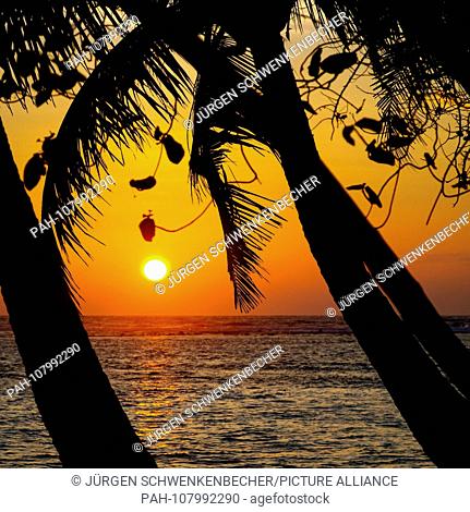 Sunset on the holiday island Hudhuran Fushi of the Maldives. The island in the North Male Atoll is one of the few of the elongated chain of islands on which...