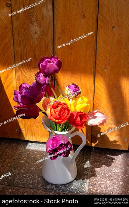 PRODUCTION - 27 April 2023, Saxony-Anhalt, Kemberg: A flower vase with colorful tulips stands in front of a wooden wall on en terrazzo floor