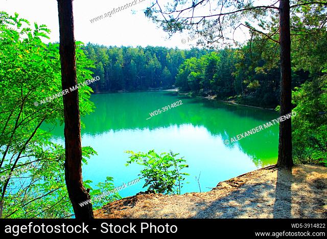 beautiful forest lake with emerald water in a pine forest