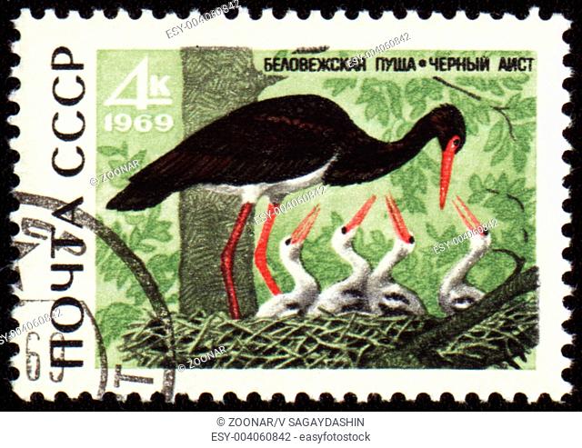 USSR - CIRCA 1969: stamp printed in the USSR