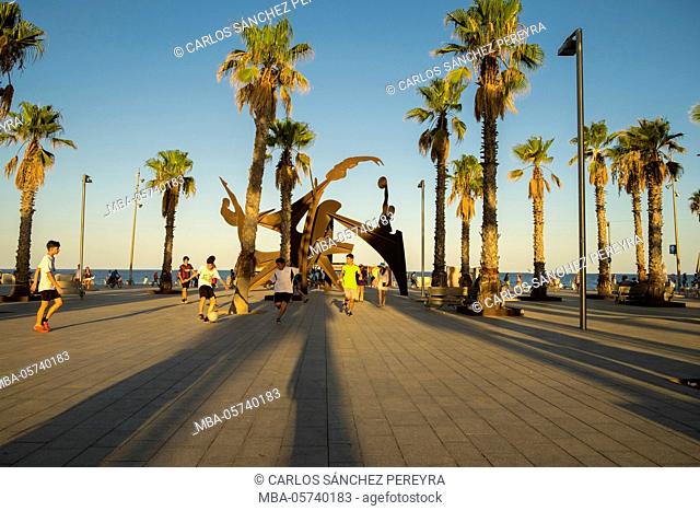 Homenatge a la natacio by Alfredo Lanz sculpter in the beach of Barceloneta, Barcelona, Catalonia, Spain