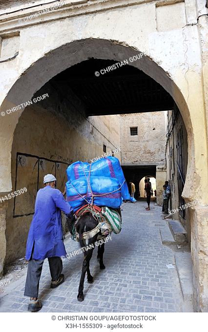 pack mule in the medina, Fes, Morocco, North Africa
