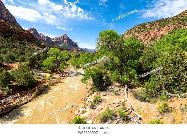 View of the Watchman down the Virgin River, Zion National Park, Utah, United States of America, North America