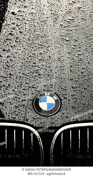 Rain drops on the paint of a car hood