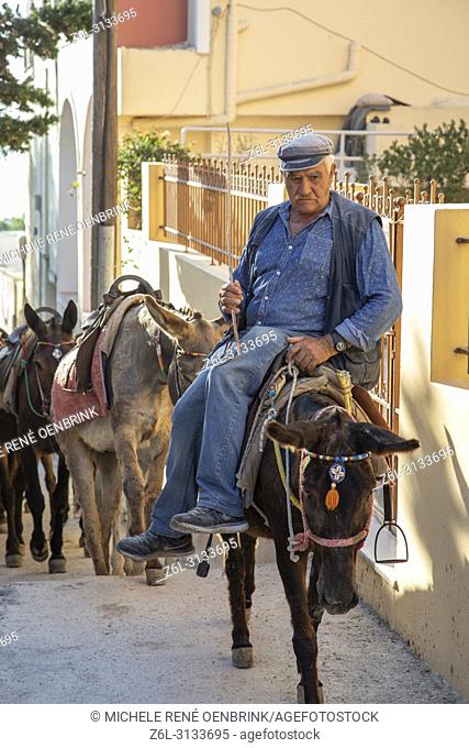 Local Greek man bringing tourist donkeys in to town of Fira, Thira for the day in Santorini Greece