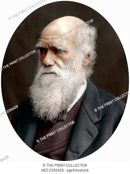 Charles Darwin, British naturalist, 1878. Darwin started his career on board the HMS 'Beagle' and spent six years surveying the South American seas