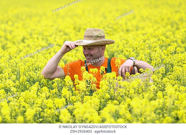 A farmer in a mustard field