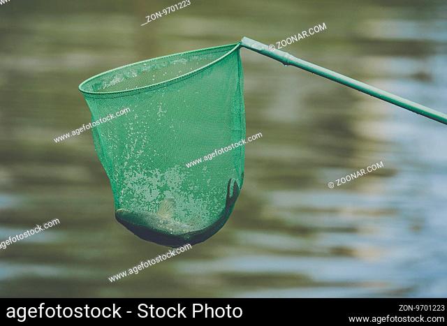 Fish caught in a green fishing net by a river