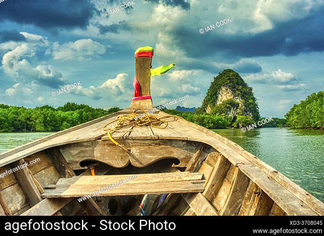 bow of boat in mangrove forest, Krabi River, Krabi, Thailand