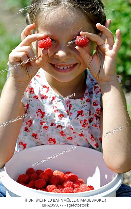Girl holding raspberries in front of her eyes, with a bowl of freshly picked raspberries, Bavaria, Germany, Europe