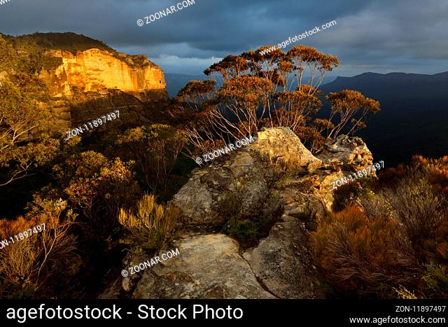 Last sunlight across tghe escarpment Blue Mountains Australia