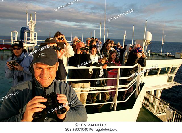 Whale-watchers on the top deck of 30, 000 ton ferry, off the coast of France, as they cross the Bay of Biscay RR