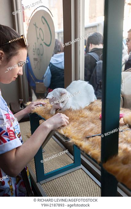 Cat lovers come from near and far to the Cat Cafe on the Bowery in New York. Purina has teamed with the North Shore Animal League to open the pop-up cafe where...