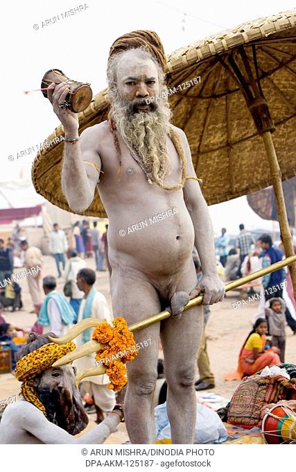 Hindu saint naga baba Shivdasgiri warping penis in trishul rod in Varanasi on Ganga river ; Uttar Pradesh ; India MR707A
