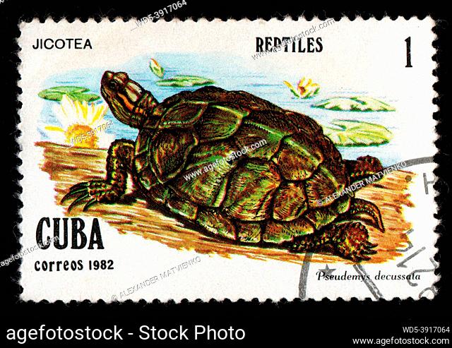 Cuba - CIRCA 1982: Cuban postage stamp featuring sea turtle. turtle on postage stamp. Vintage stamp for letters isolated on black