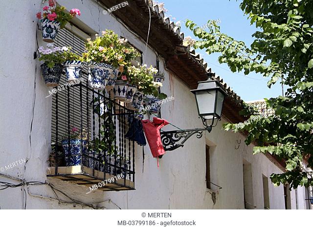 Spain, Andalusia, grain Ada, old town,  Albaicin, residence, balcony,  Flower jewelry Europe, Southern Europe, Iberian peninsula, destination, city, district
