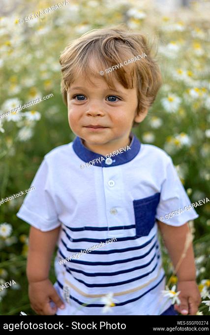 Cute blond boy standing in meadow