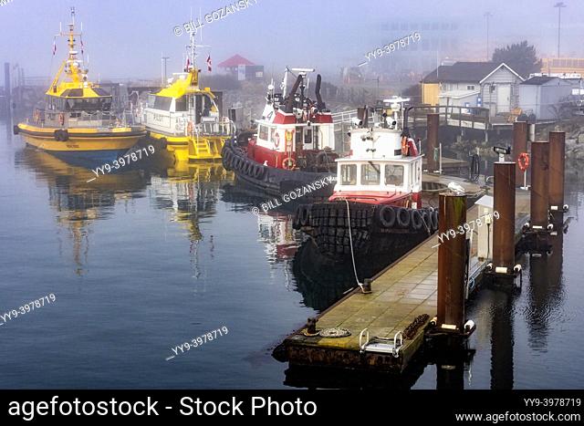 Pilot boats on a foggy morning at the harbour near Ogden Point Breakwater - Victoria, Vancouver Island, British Columbia, Canada