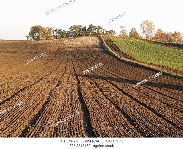 Agriculture in Lasser Poland