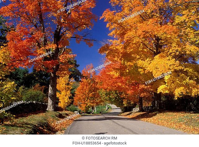 East Andover, New Hampshire, NH, Colorful fall foliage along Maple Street in East Andover in the fall