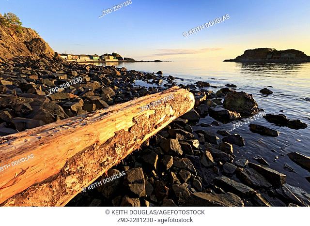 Shoreline scene on Shack Island, Pipers Lagoon Park, Nanaimo, Vancouver Island, BC