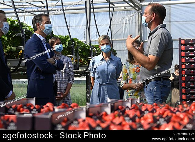 Prime Minister Alexander De Croo pictured during a visit to the strawberry farm of Raf Quirijnen, in Wuustwezel, Tuesday 08 June 2021