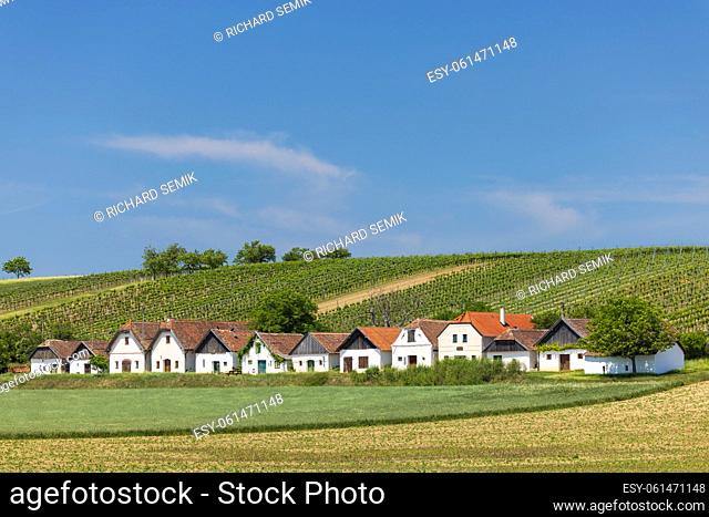 Traditional wine cellars street (kellergasse) in Diepolz near Mailberg, Lower Austria, Austria
