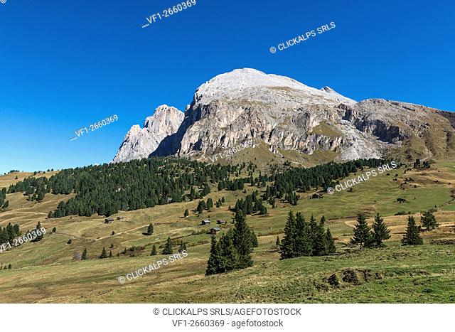Alpe di Siusi/Seiser Alm, Dolomites, South Tyrol, Italy. View from the Alpe di Siusi to the peaks of Sassolungo/Langkofel and Sassopiatto/Plattkofel