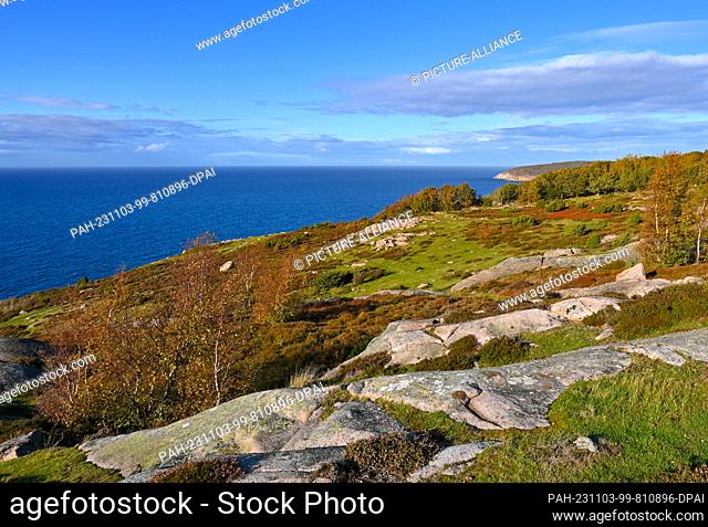23 October 2023, Denmark, Vang: The autumnal landscape on the west coast of the Danish island in the Baltic Sea. The island of Bornholm - together with the...
