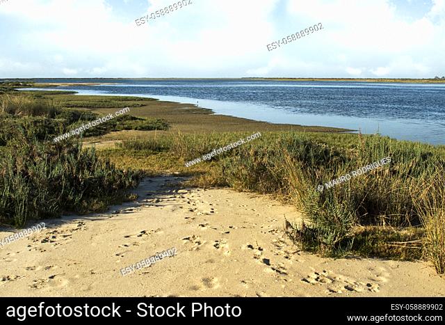 Beautiful view of the famous natural Ria Formosa marshlands located in Faro, Portugal