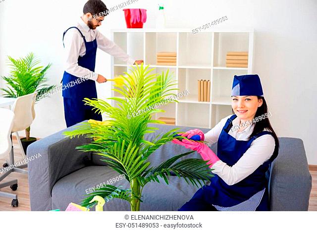 Cleaning service team vaccuuming, dusting and watering plants