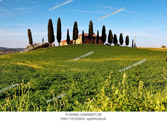 06/29/2018, Italy, Radicofani: View of a ""typical"" landscape in Tuscany. Location is the road SP146 just before the entrance of Montepulciano