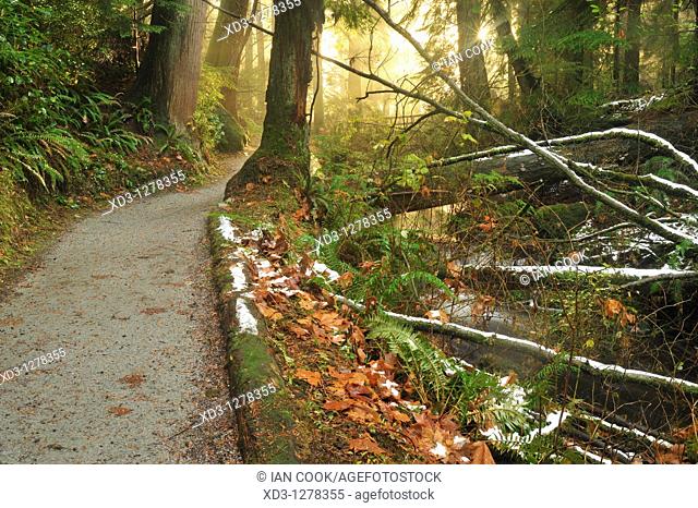 Beaver Lake Trail, Stanley Park, Vancouver, British Columbia, Canada