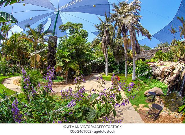 Palmetum Botanic Garden from Santa Cruz de Tenerife
