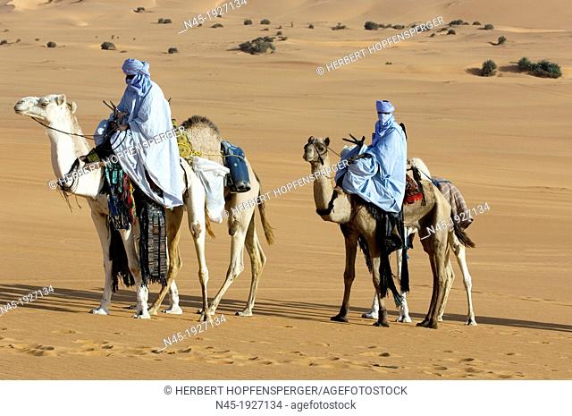 Tuaregs riding Camels; Libyan Arab Jamahiriya; Libyan Desert
