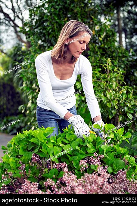 Young woman pruning plants in garden
