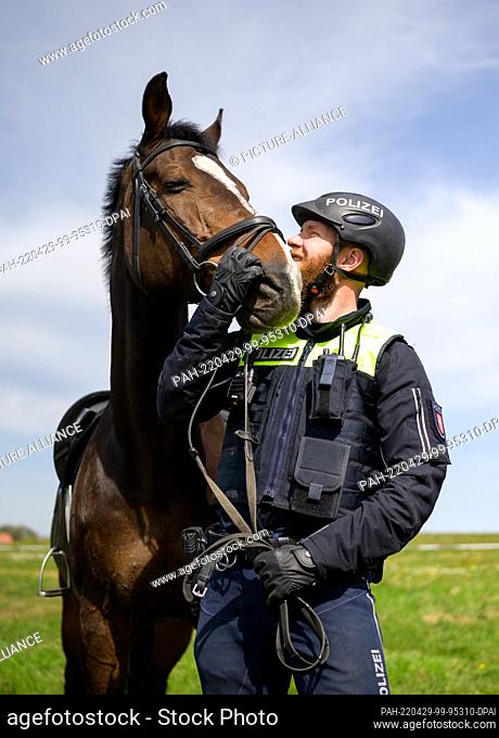 29 April 2022, Lower Saxony, Herrenhof: The police officer, Tjaard Kirschtowski strokes his service horse Herkules at a press event on the banks of the Elbe