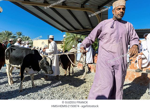 Sultanate of Oman, gouvernorate of Ad-Dakhiliyah, Nizwa, the friday livestock market