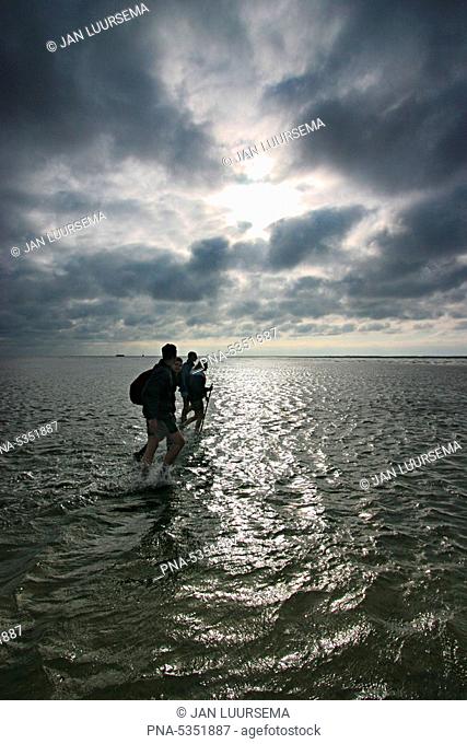 People crossing the Wadden Sea on foot near Wierum, Friesland, the Netherlands
