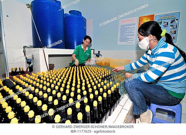 Bottling of the traditional Vietnamese fish sauce Nuoc Mam in glass bottles with yellow plastic cap, Phu Quoc, Vietnam, Asia