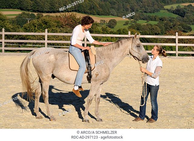 Therapy with Horses, Akhal-Teke / leadline, praising horse, riding instructor