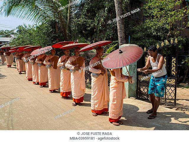 Myanmar, near Yangon Kyauktan City, Nuns paradeing