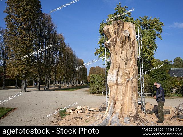 13 October 2022, Saxony, Dresden: Sculptor Hans-Georg Wagner works on a torso of a dead blood beech in Pillnitz Palace Park